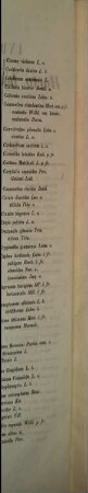 Index seminum in Horto Botanico Hamburgensi collectorum, 1856