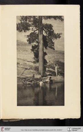[Anne Wardrope Brigman, V. The Pool, photogravure from the enlarged original film negative]