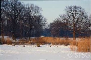 Potsdam, Park Sacrow, Römische Bank vom Eis aus.