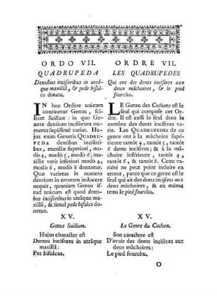 Ordo VII. Quadrupeda Dentibus incisoribus in utraque maxilla & pede bisulco donata. - Ordre VII. Les Quadrupedes qui ont des dents incisives aux deux mâchoires, & le pied fourchu