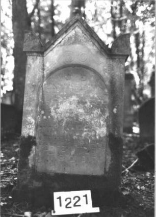 Grabstein 1221 (Index: 99899999) Material: Sandstein Zustand: stark verwittert Maße HxBxT: 107x60x8 cm Beschreibung: Stele mit eingezogenem Dreiecksabschluss, auf den Einzügen Eckakroterien, im Dreiecksfeld Ranken Symbolik: Ranken: Grabstein 1221