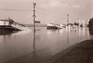 Dresden. Elbehochwasser im Juni 1965. Überschwemmtes Terrassenufer mit Anlegestellen stromaufwärts gesehen (Wasserstand 6m Dresdner Pegel)