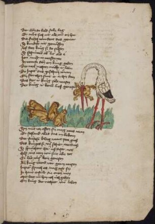 Storch und Frösche; (Von den Fröschen, die einen König wollten, Kapitel XXV nach Pfeiffer)