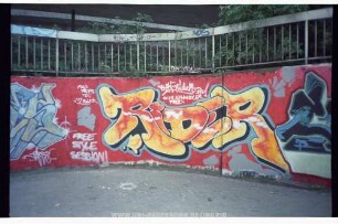 RiDER CRAZY PARES BLaZE