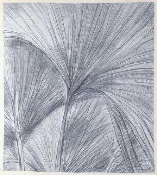 Palmwedel