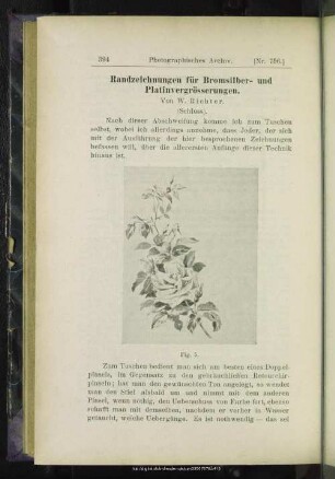 Randzeichnungen für Bromsilber- und Platinvergrösserungen