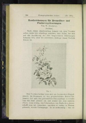 Randzeichnungen für Bromsilber- und Platinvergrösserungen