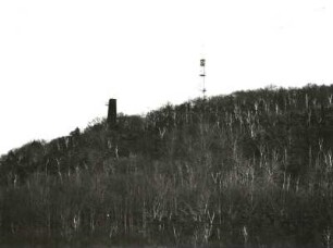 Freital-Burgk. Windberg (Höhe 352 m). Südwesthang gegen Windbergdenkmal und Antenne