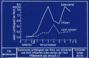 Elektrische Leitfähigkeit der Milch von infizierten und nicht infizierten Eutervierteln der Tiere (Mittelwerte aus Versuch I)