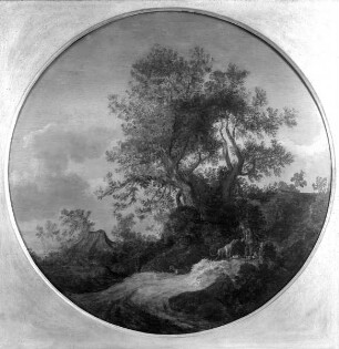 Dünenlandschaft