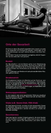 Einblicke ...in den Berufsalltag von Sexarbeiterinnen