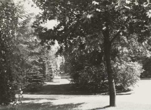Parkansicht
