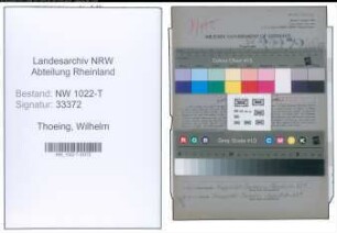 Entnazifizierung Wilhelm Thoeing , geb. 18.05.1891 (Werkmeister)