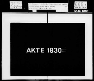 Antrag Arzt, SPD: Mißtrauensvotum gegen den Ministerpräsidenten Heldt, April 1928
