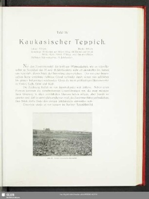 Tafel 16. Kaukasischer Teppich