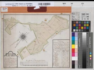 Isselhorst (Gütersloh) Teilung der Dehl(Deel)heide mit Register (1771) 100 rh. Ruten = 15,5 cm 29,5 x 37 kol. Zeichnung Oberwitler Spez.Verz. Markenkarten XI Nr. 23