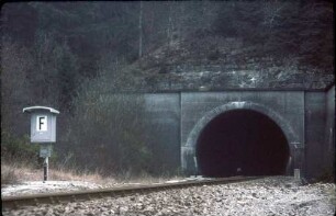 Hochdorfer Tunnel Nordportal Lok 215 055