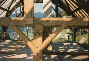 Schwarzwaldhaus Limberg 1