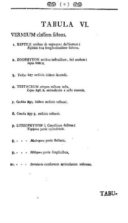 Tabula VI. Vermicum classem sistens