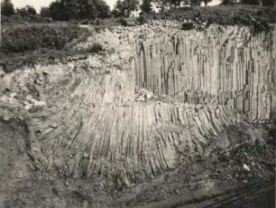 Steinberg bei Ostritz. Basaltsteinbruch. Osthälfte des Bruches mit Basaltsäulen