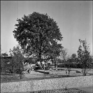 Planetenring, Grünfläche