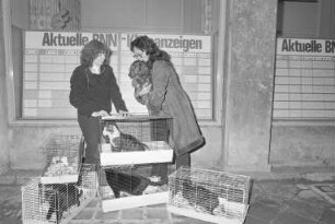 Befreiung von in einer Wohnung in der Südstadt vegetierenden Tieren durch den "Bund gegen den Missbrauch der Tiere"