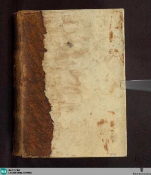 Consultationes - Cod. Rastatt 67
