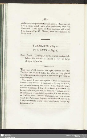 Turrilites obliqua. Tab. LXXV. - Fig. 4