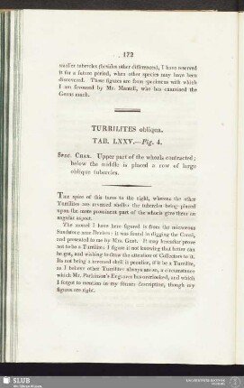 Turrilites obliqua. Tab. LXXV. - Fig. 4