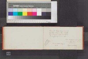 Einträge Bl. 31 - 56