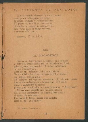 XIX - El diagnóstico