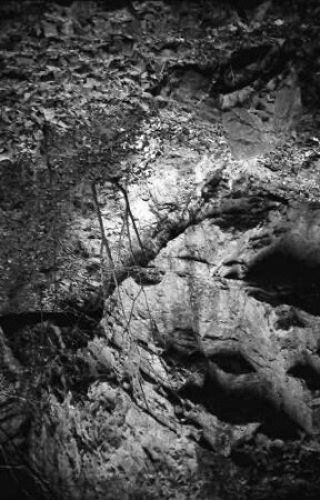 Stallegg: Wutach; geologische Verwerfungen