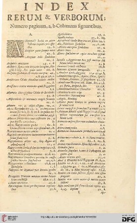 Index rerum & verborum