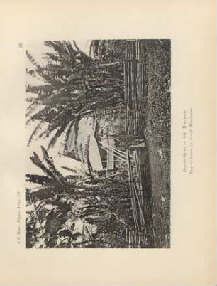 31. Bagobo-Haus in Süd Mindanao = Bagobo-house in South Mindanao