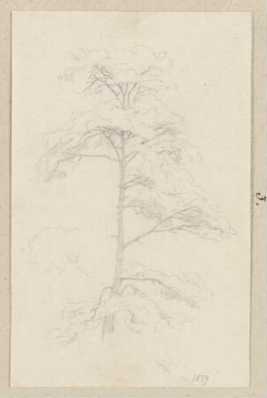 Baum