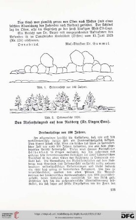 3: Denkmapflege vor 100 Jahren