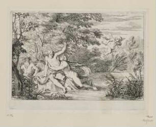 Salmacis und der Hermaphrodit