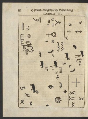 Tabula VII.