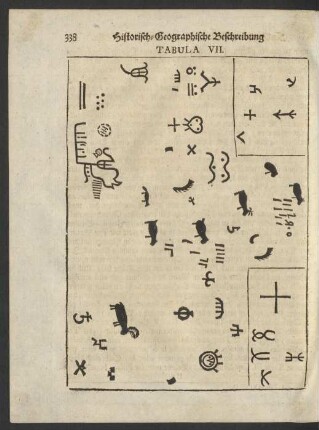 Tabula VII.