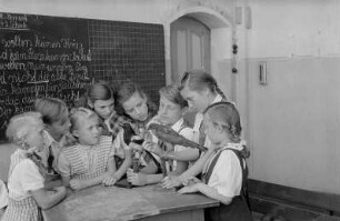 Reportage aus einer Schule in Berlin-Köpenick : Schüler vor Vogel-Präparaten