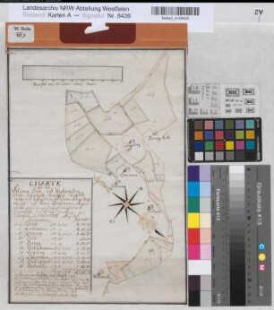 Eickum (Herford) Teilung der Kleinen Heide und Westerwellen 1776 100 rh. Ruten = 14,4 cm 36 x 25 kol. Zeichnung Graf Spez.Verz. Markenkarten XIV Nr. 7