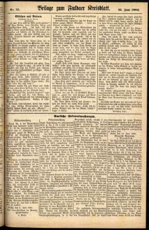 Zweite Ausgabe vom Dienstag, den 22. Juni 1880.