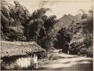 Siedlung (Lateinamerika-Aufenthalte 1928/1942)