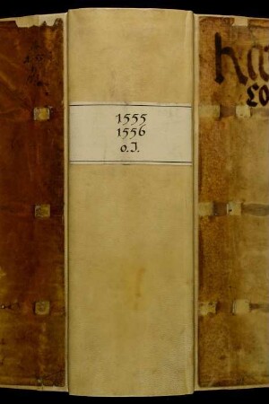 Ratsprotokolle, 1555 Jan. 22. - 1556 Juli 16.
