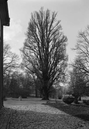 Weimar, Park an der Ilm (1778/1833) (Tiefurter Park?)