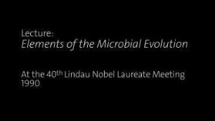 Elements of the Microbial Evolution