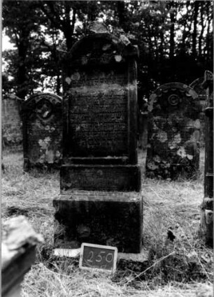 Grabstein 250 [Nir S. 158 Nr. 15.12]