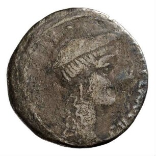Münze, Denar, 55 v. Chr.