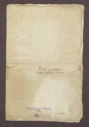 Die kirchlichen Feierlichkeiten aus Anlass des von Papst Sixtus V. ausgeschriebenen Jubiläums