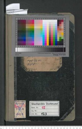 Protokollbuch der öffentlichen Sitzungen der Stadtverordneten vom 2.9.1904 bis 23.7.1909
